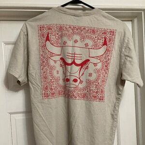 Urban Outfitters Ultra Game Chicago Bulls Tee